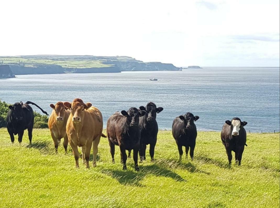 Tornabodagh House Ballycastle Eksteriør billede